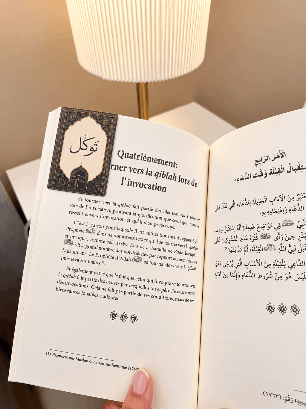 magnetic bookmark